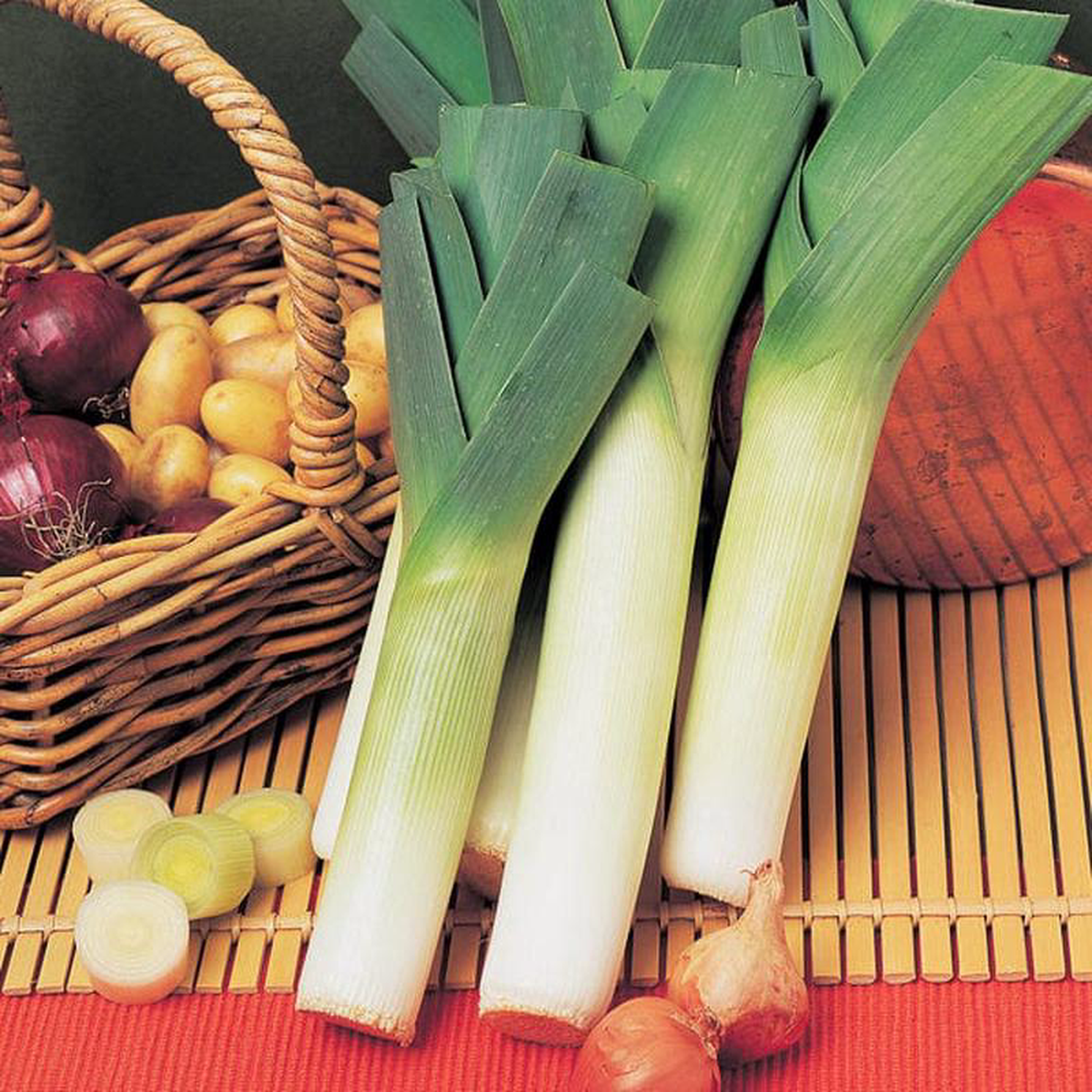 Leek Malabar 8211 Mr Fothergill8217s Seeds