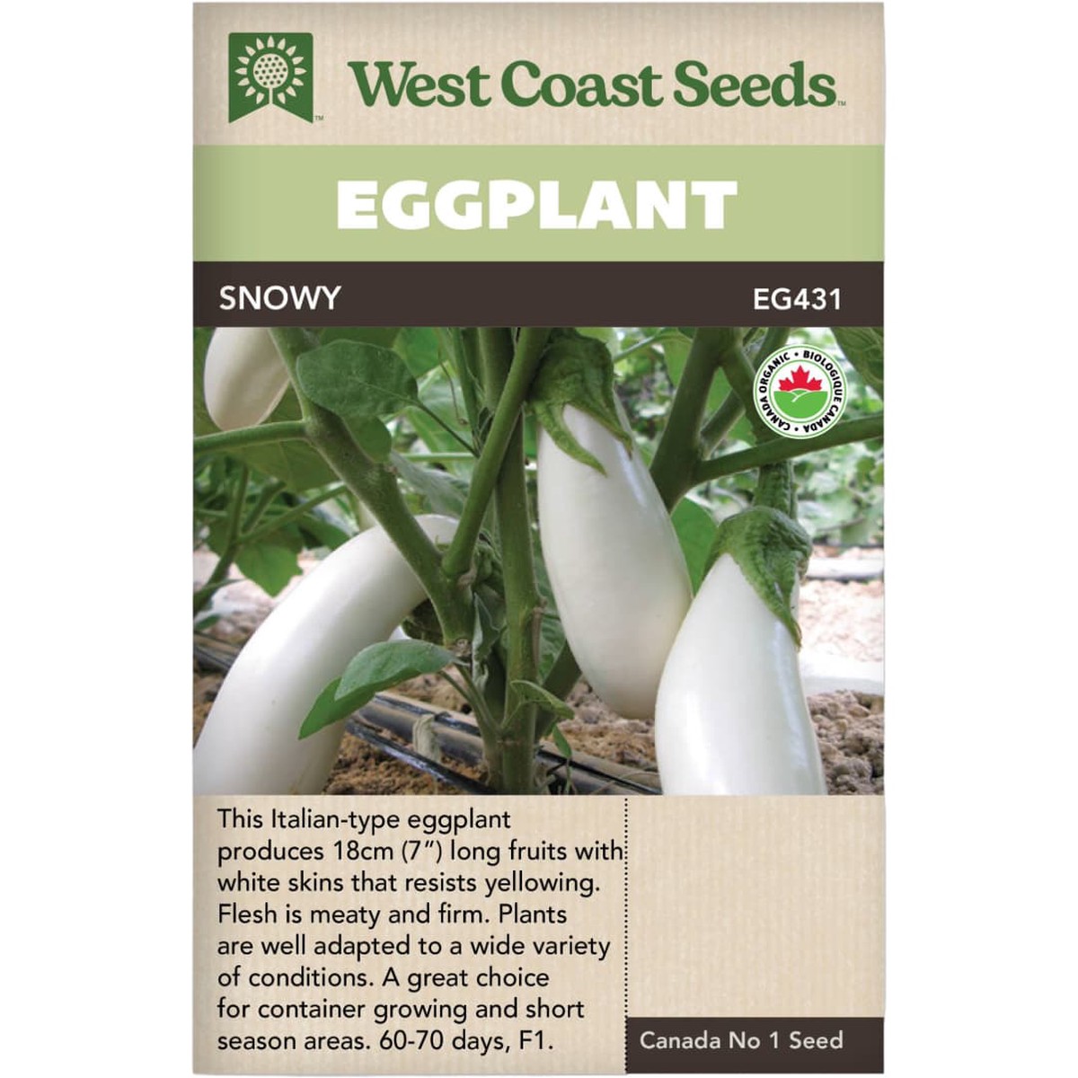 Organic Eggplant Snowy - West Coast Seeds