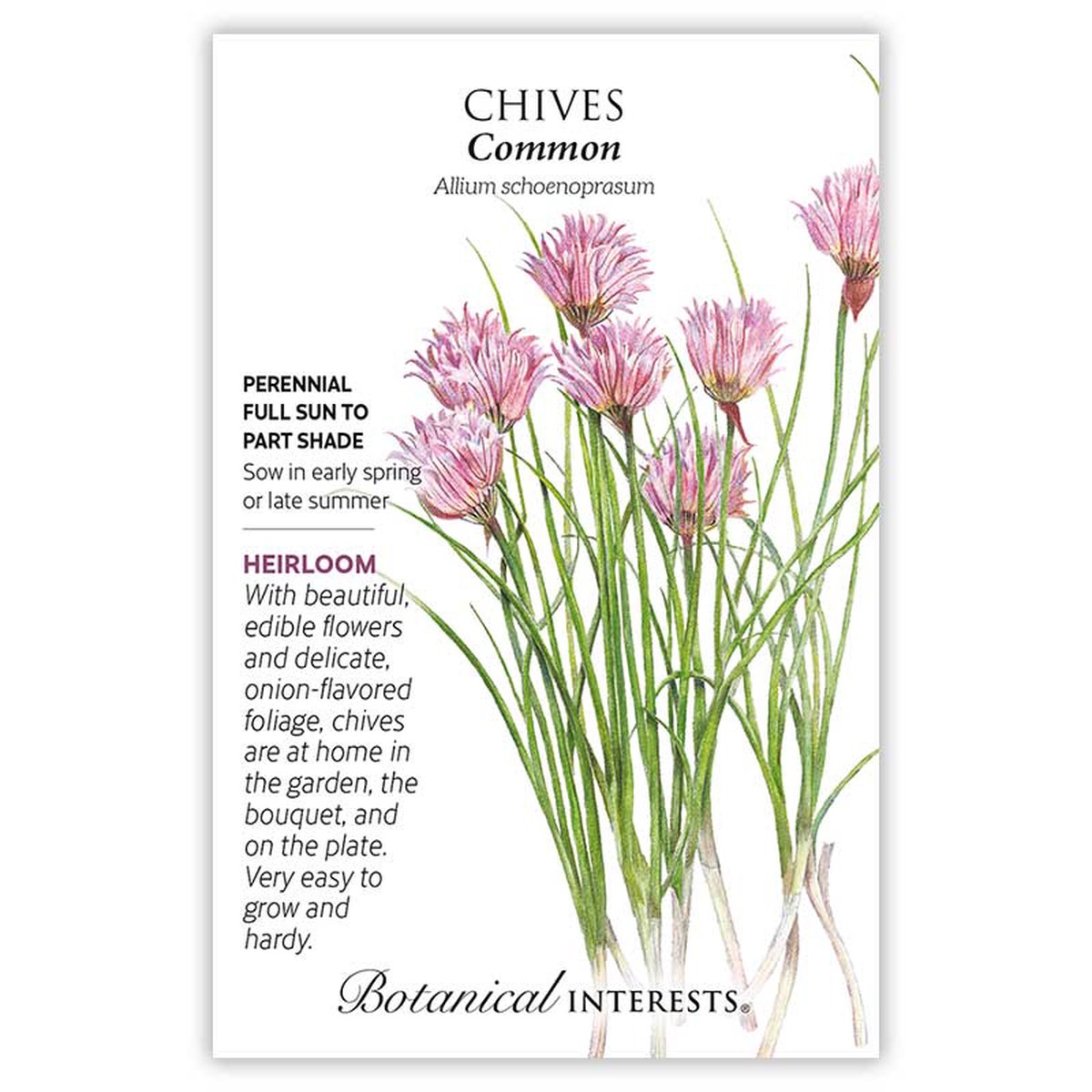 Chives seeds, "Common"