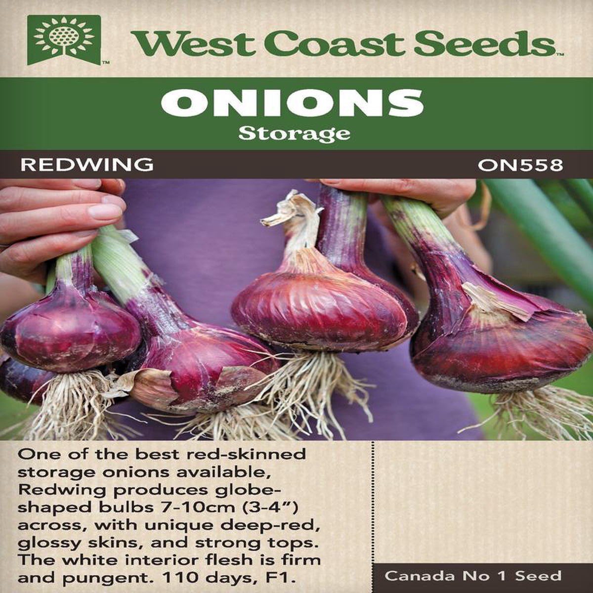 Onion Redwing 8211 West Coast Seeds