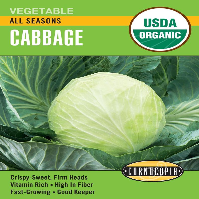 Organic Cabbage All Seasons - Cornucopia Seeds