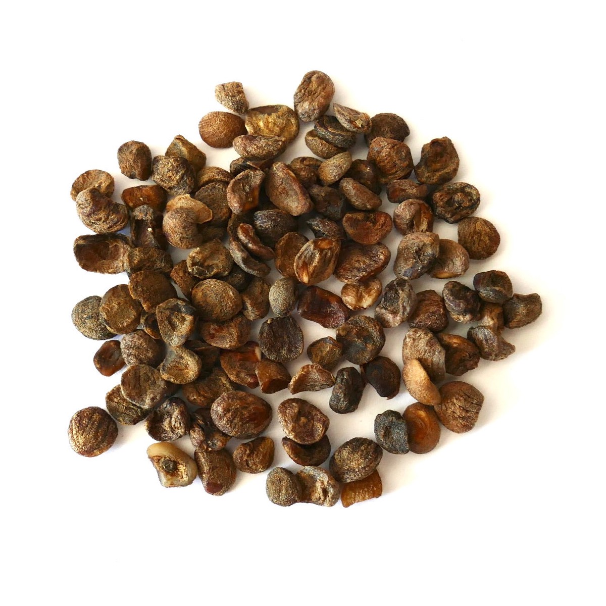 Mitriostigma axillare SEEDS