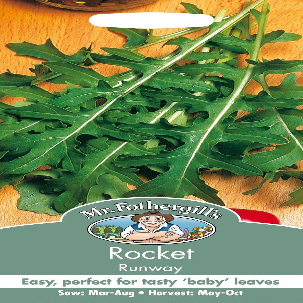 Mr Fothergills Herb Rocket Runaway 500 Seeds