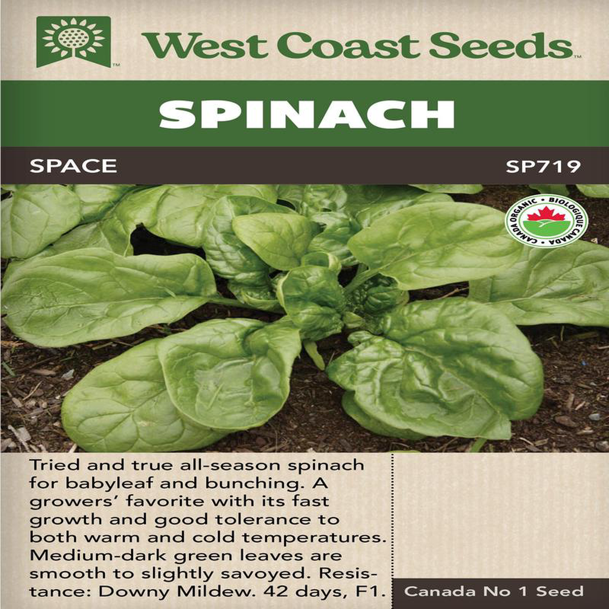 Spinach Seaside Organic 8211 West Coast Seeds
