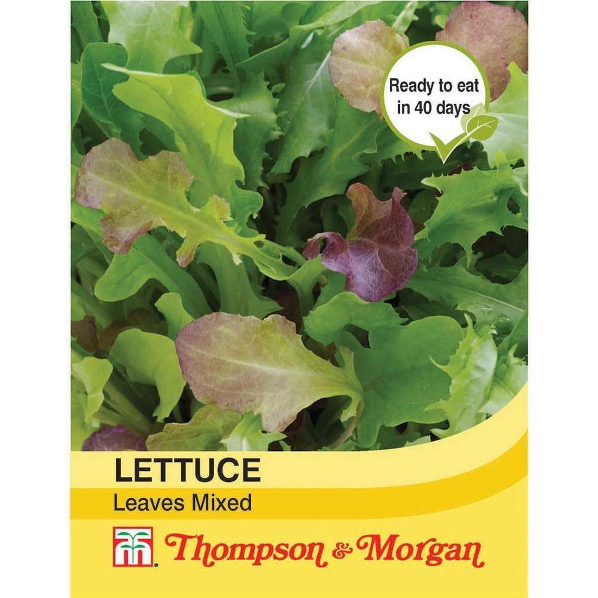 Thompson & Morgan Lettuce Leaves Mixed 400 Seed