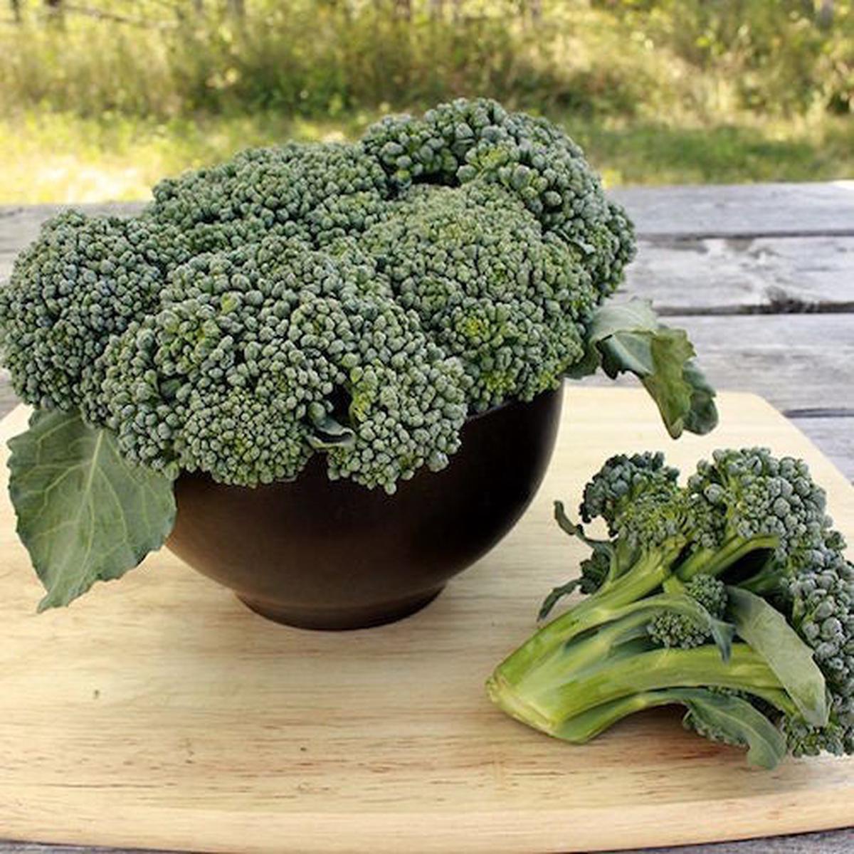 Broccoli, Waltham 29 (Certified Organic Seeds)