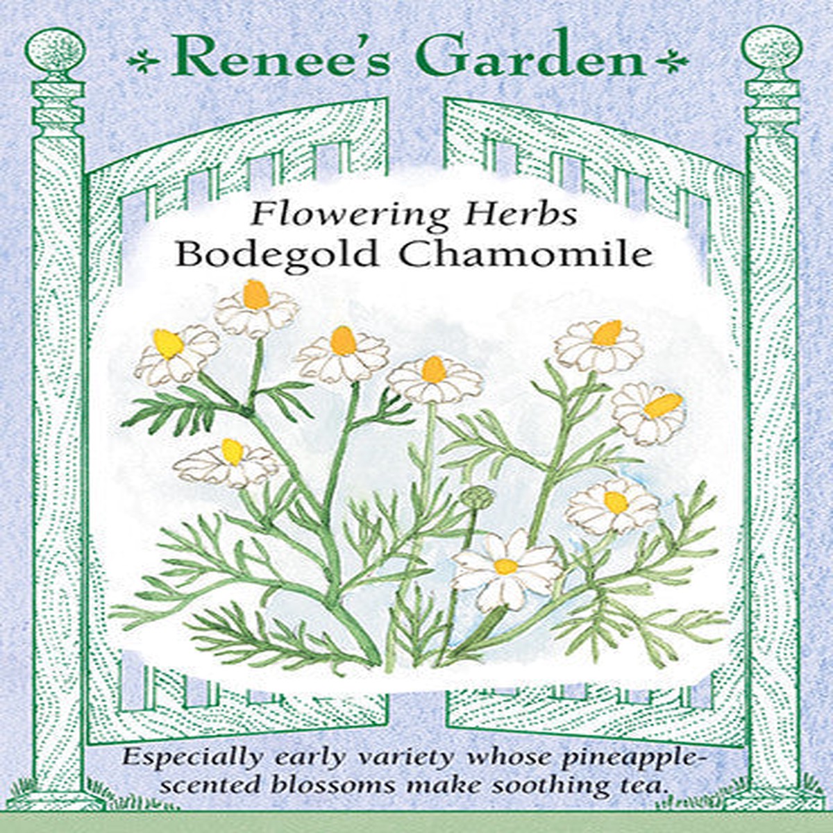 Chamomile Bodegold - Renee's Garden