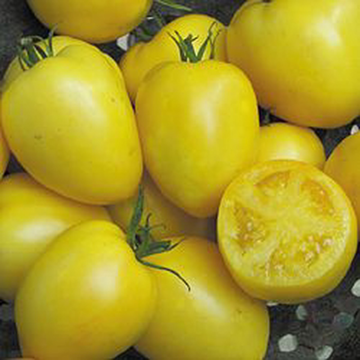 Powers Heirloom Tomato - 20 Seeds - Yellow Paste