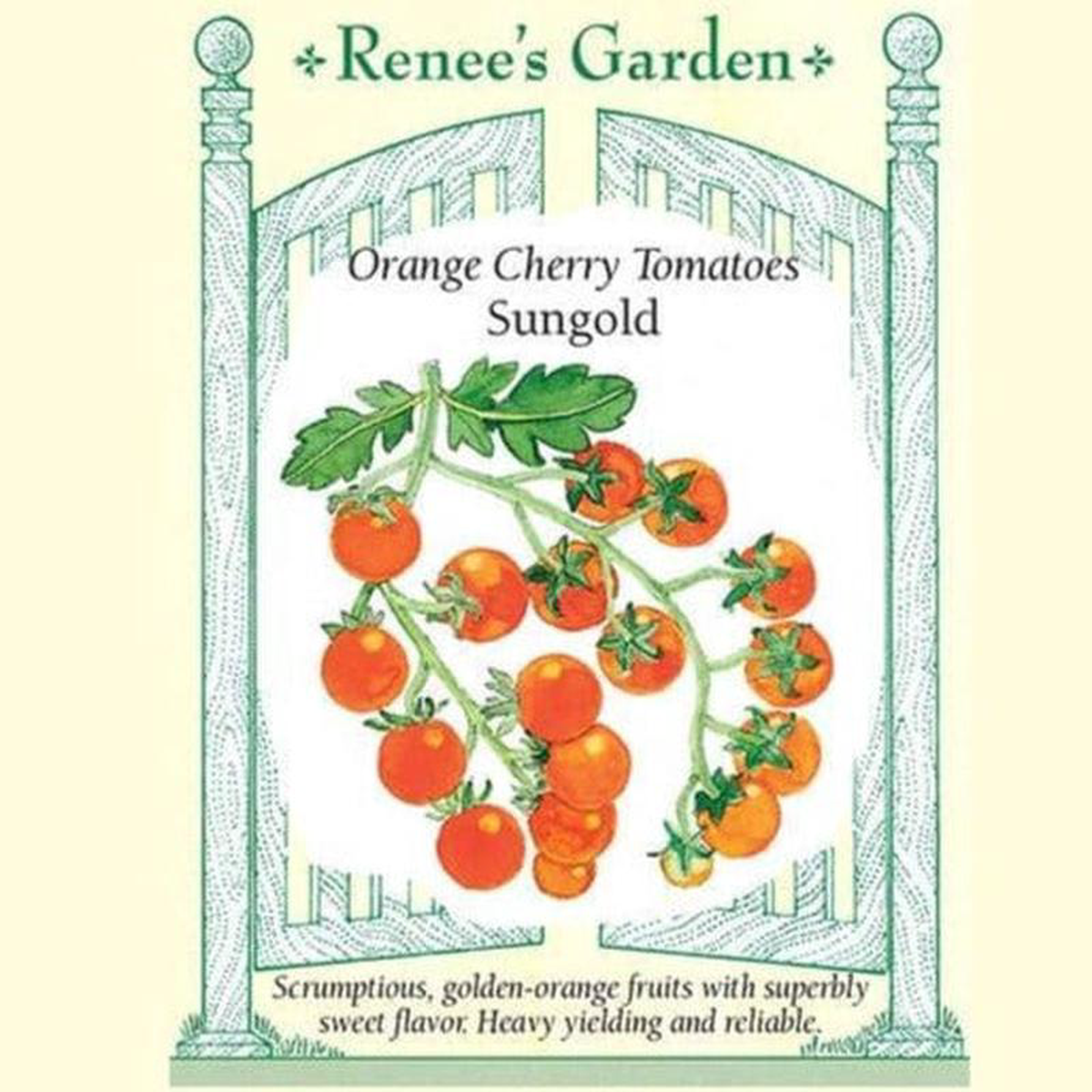 Tomato Sungold 8211 Renee8217s Garden