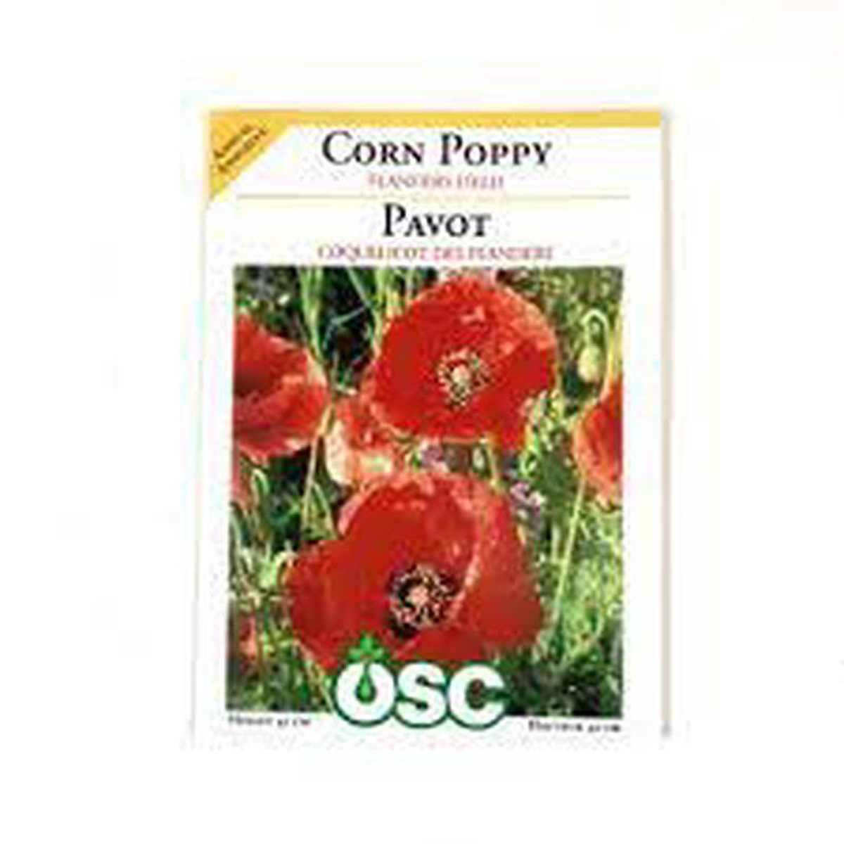 Corn Poppy Seed Packets 8211 Flanders Field