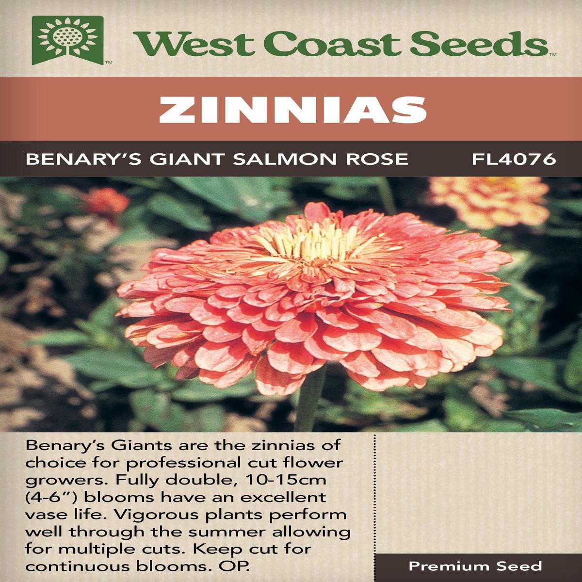 Zinnias Benary's Giant Salmon Rose - West Coast Seeds