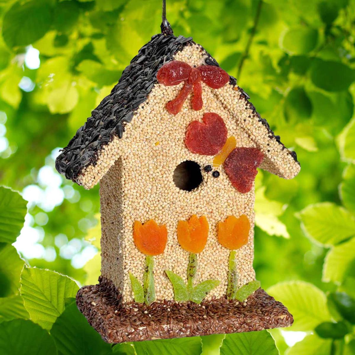 Mr. Bird Spring Fruit B&B Birdhouse
