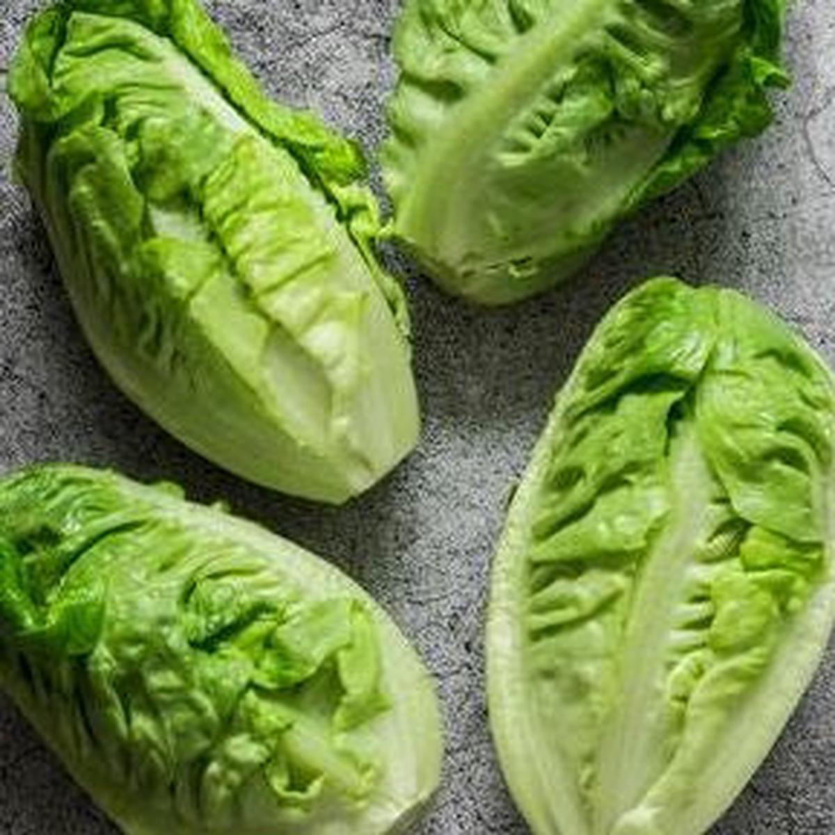 Organic Little Caesar Romaine Lettuce