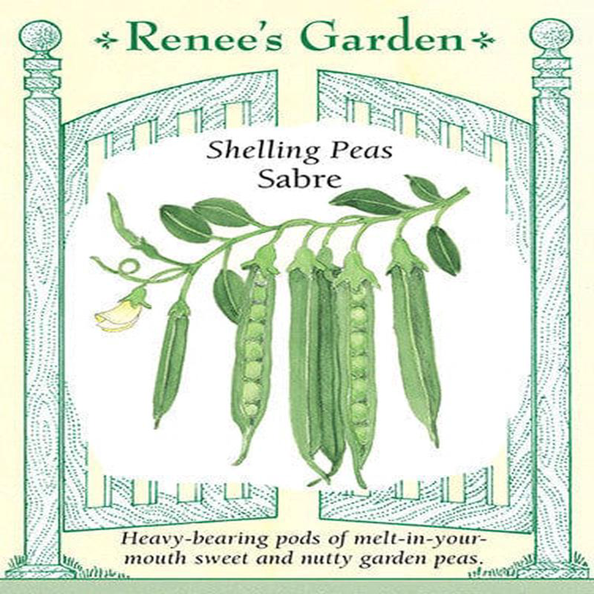 Pea Sabre 8211 Renee8217s Garden