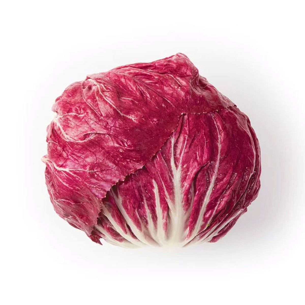 Cichorium intybus var. foliosum 'Italian Red Chicory 2 Winter' SEEDS