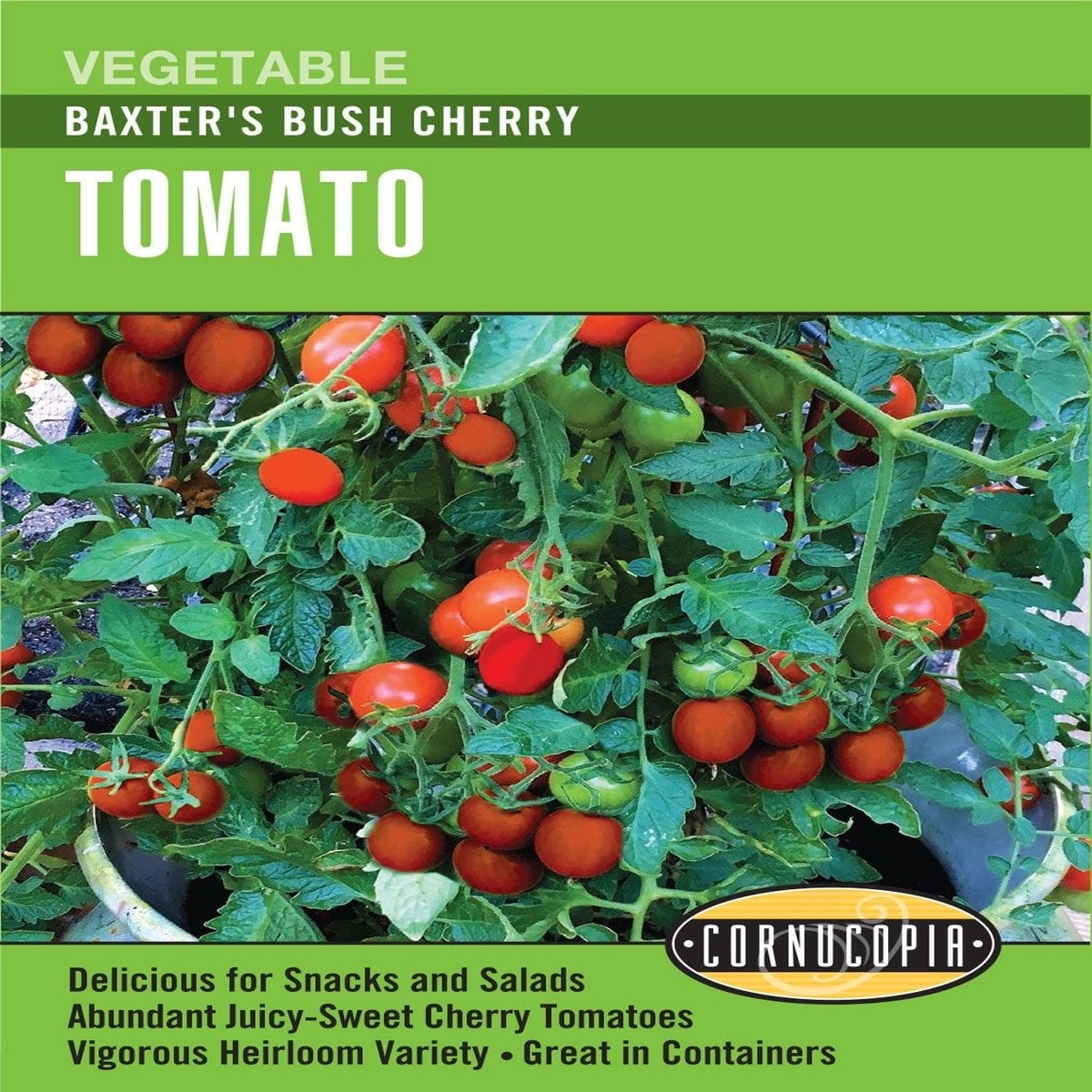 Tomato - Tomato Cherry Baxter Bush