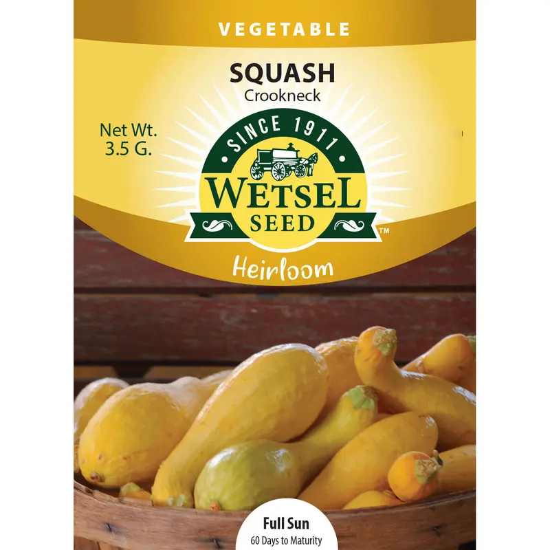 Wetsel Seed Hierloom Squash Crookneck Seed
