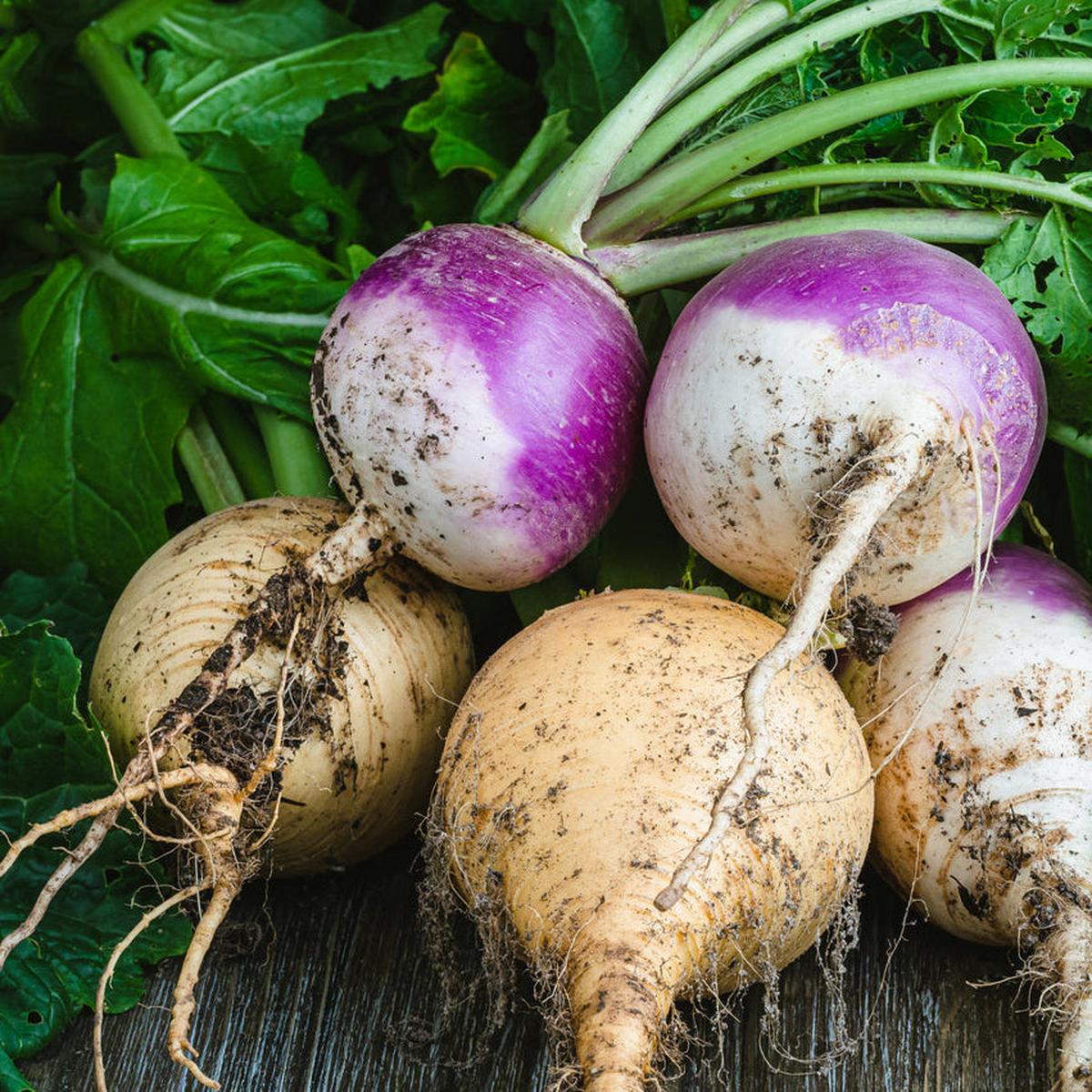 Annies Turnip Mix (Brassica rapa)