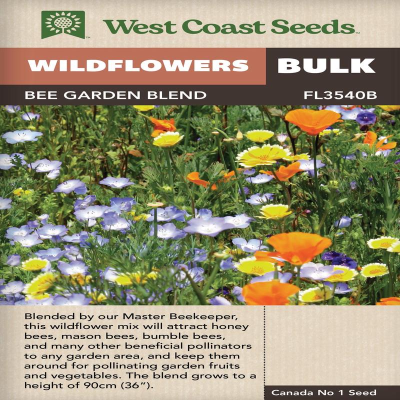 BULK Wildflowers Bee Garden Blend - West Coast Seeds