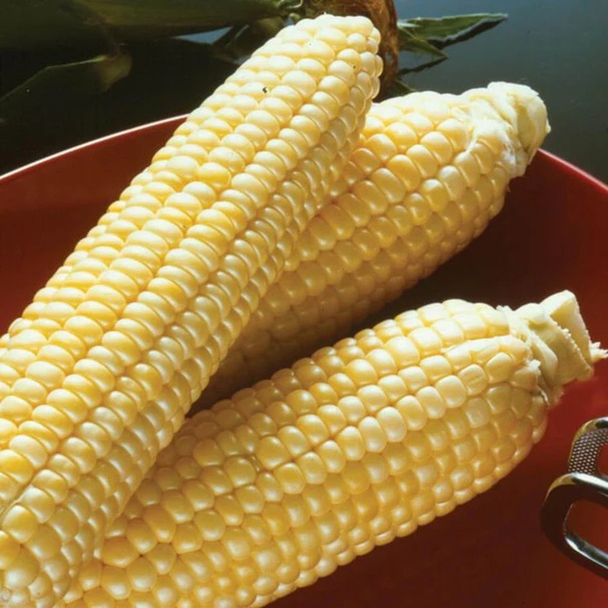 Corn - Sugar Buns F1