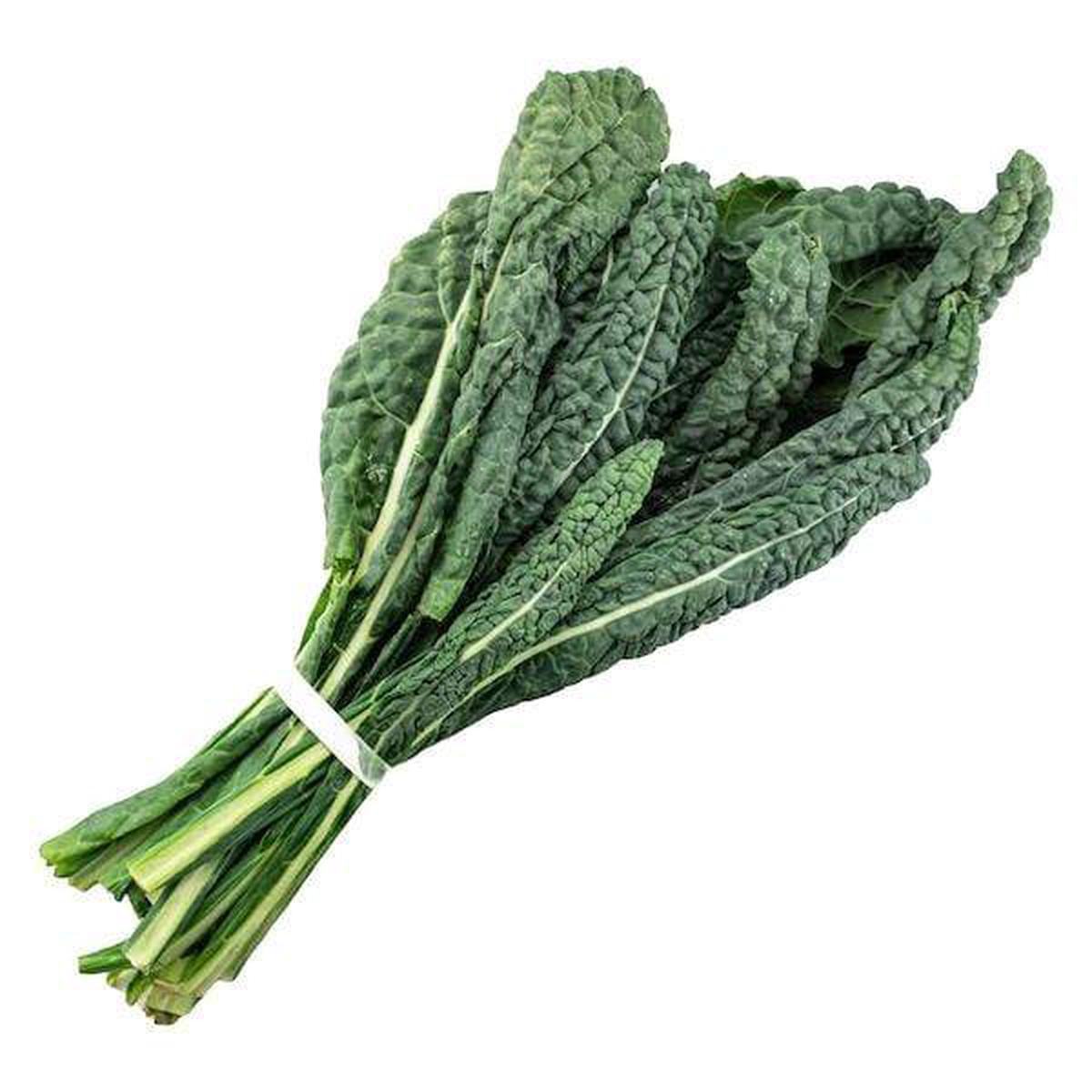 Kale Lacinato Seeds | OSC Seeds