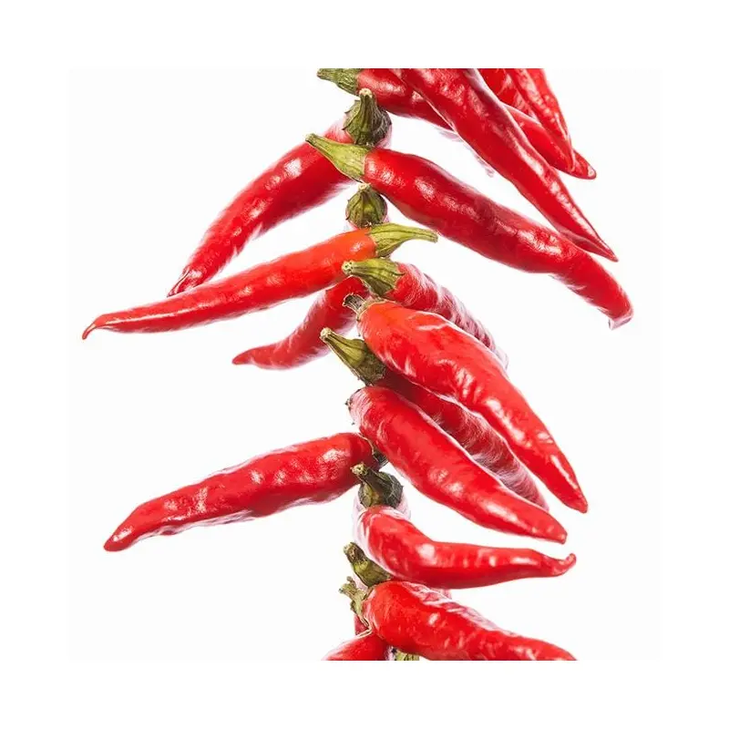 Yatzy or the Yatsufusa Pepper Seeds