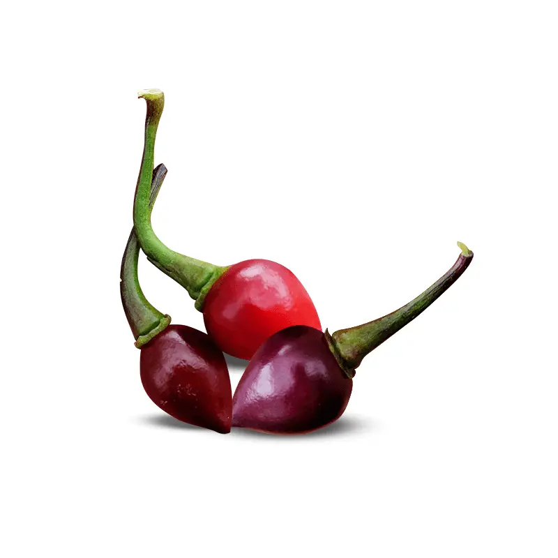 Bico Roxa Pepper Seeds (Non-Isolated)