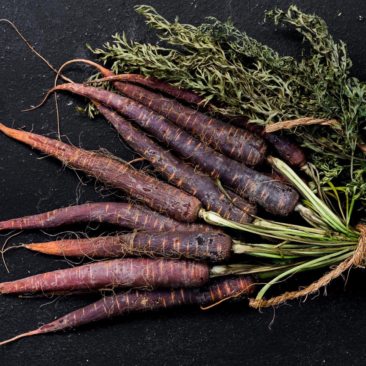 Organic Dragon Carrot (Daucus carota)
