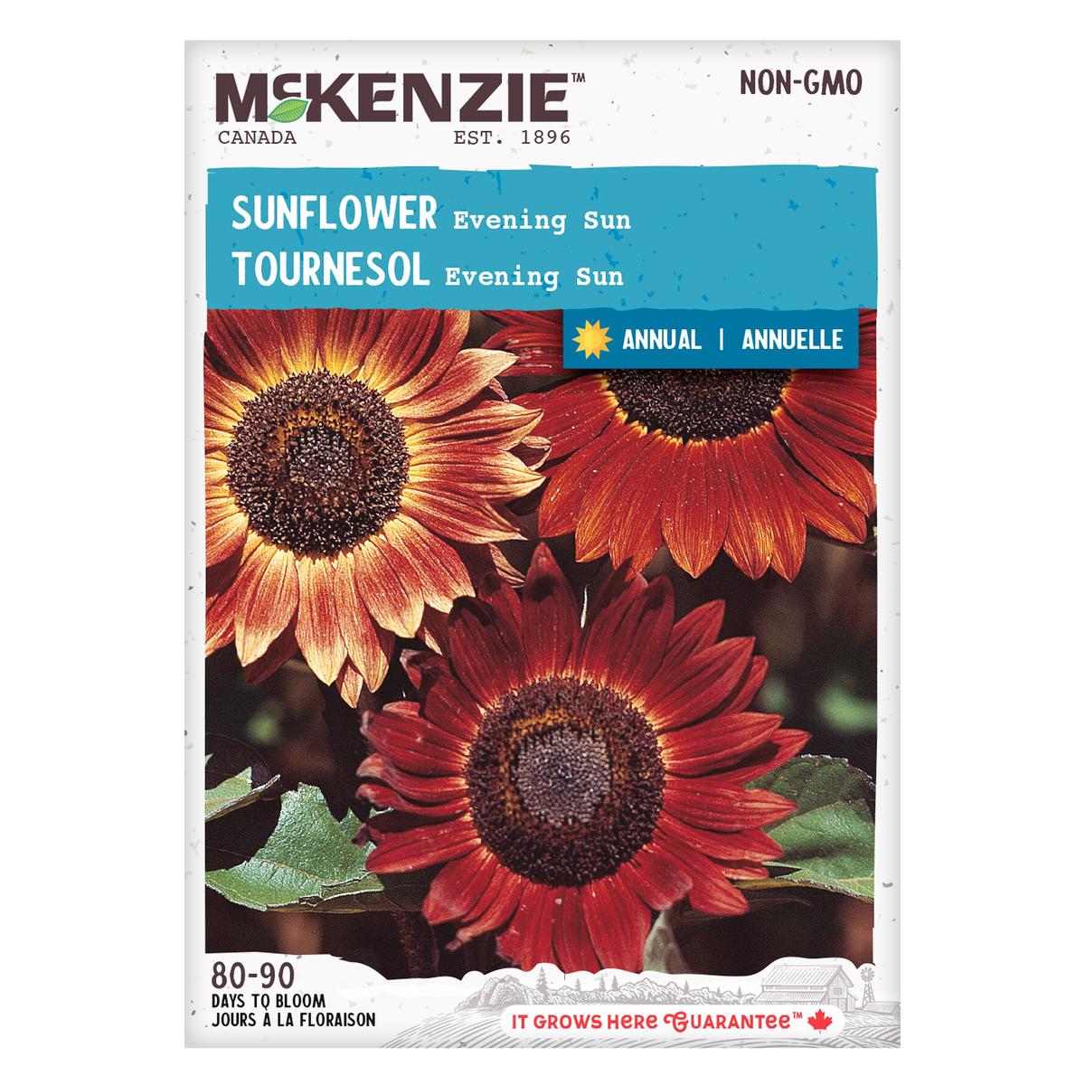 Sunflower Evening Sun - McKenzie Seeds