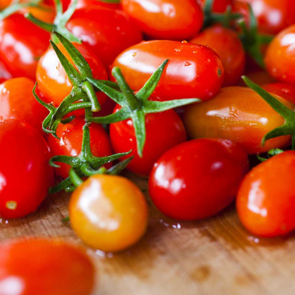 Cherry Roma Tomato Indeterminate