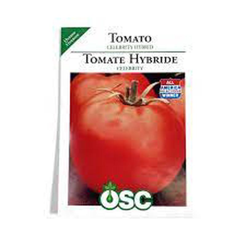 Tomato Seed Packets - Celebrity Hybrid
