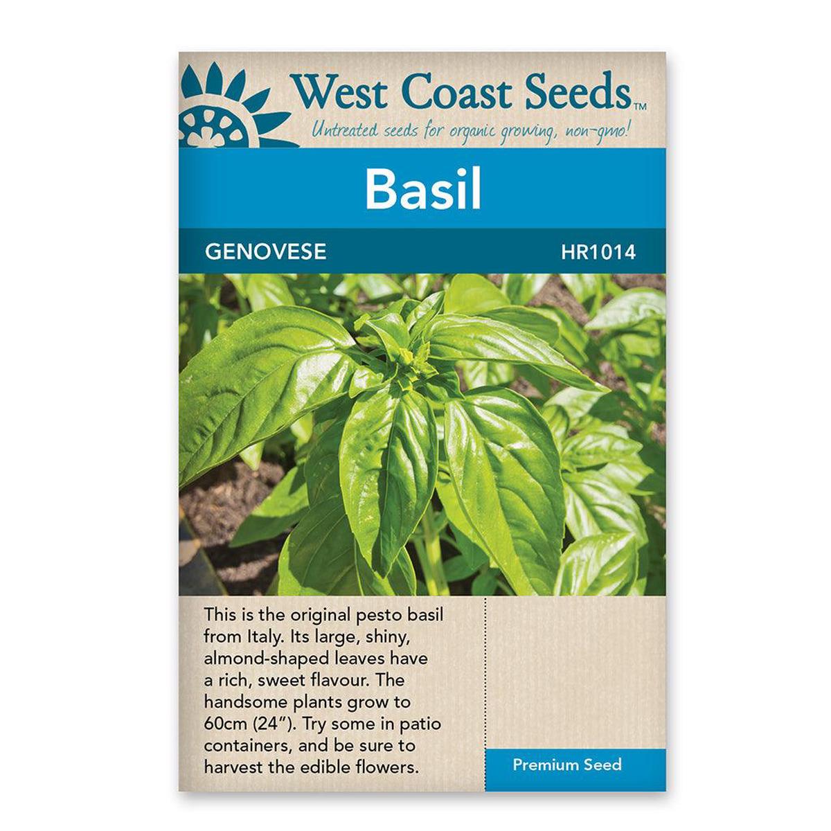 Basil Genovese Seeds