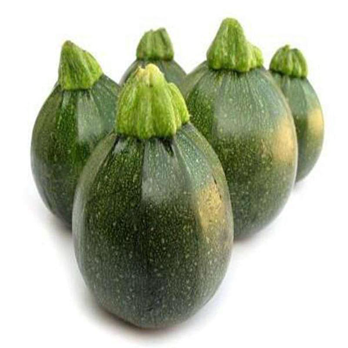 Chappan Kaddu 8211 Desi Vegetable Seeds