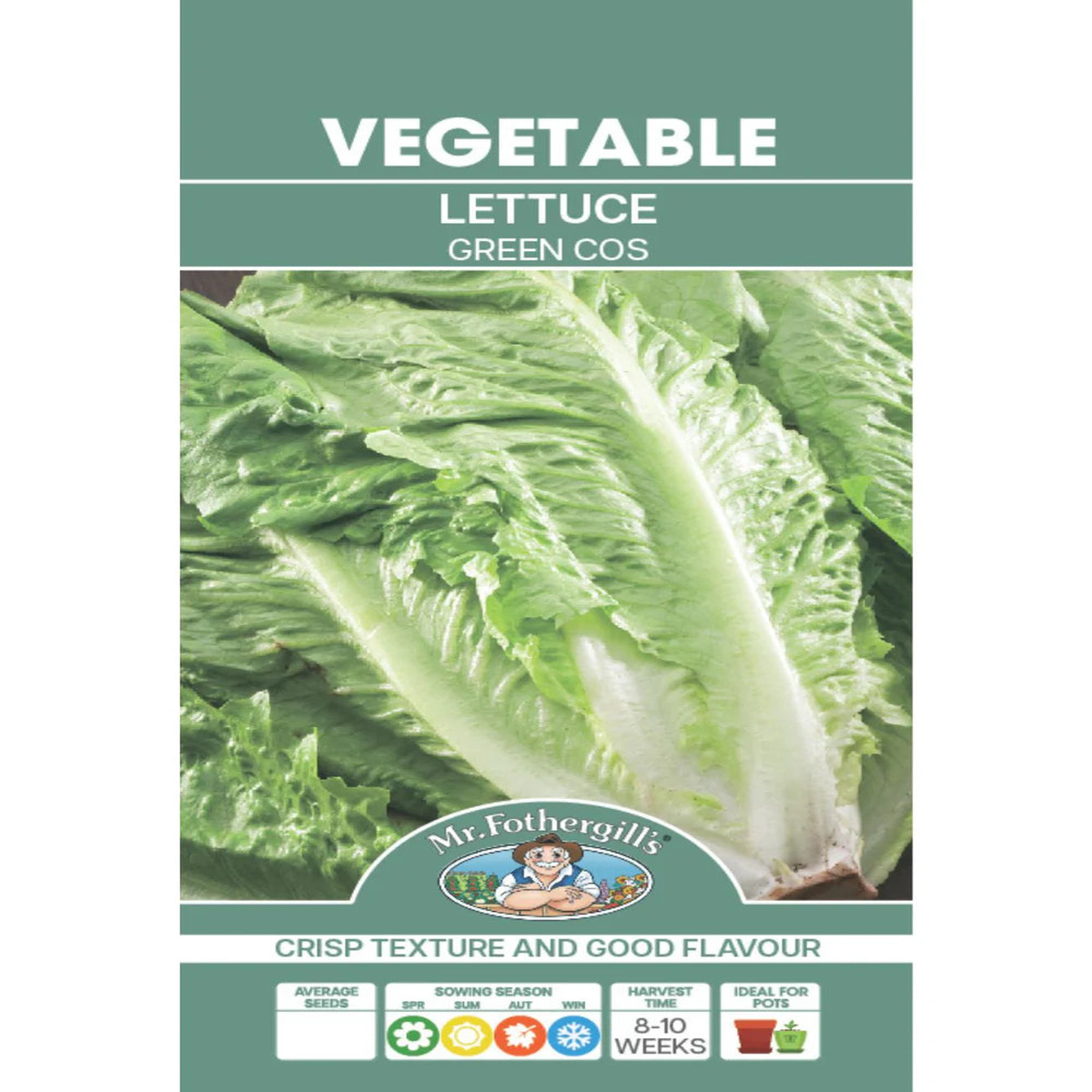 Lettuce Green Cos Seed