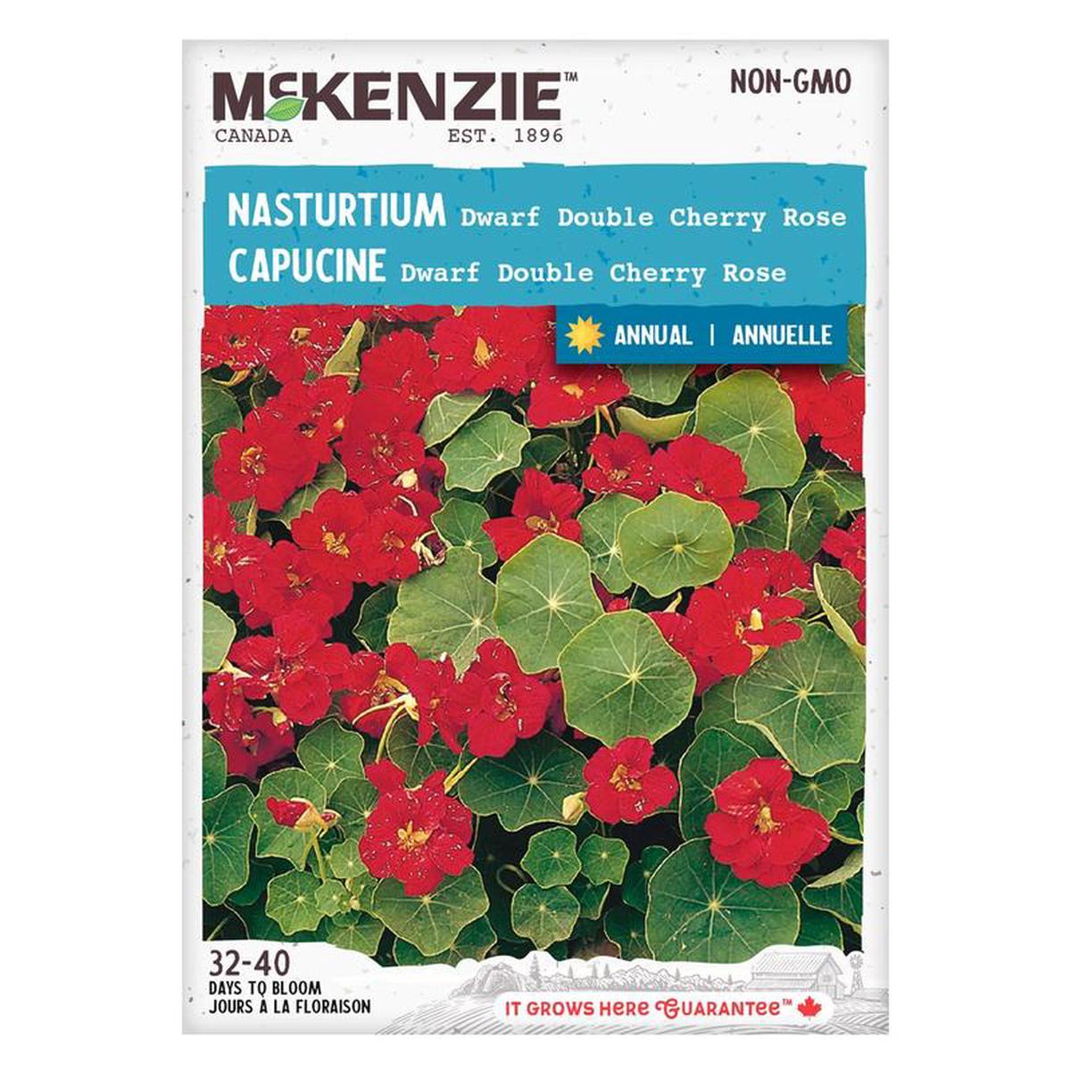 Nasturtium Dwarf Cherry Red 8211 McKenzie Seeds