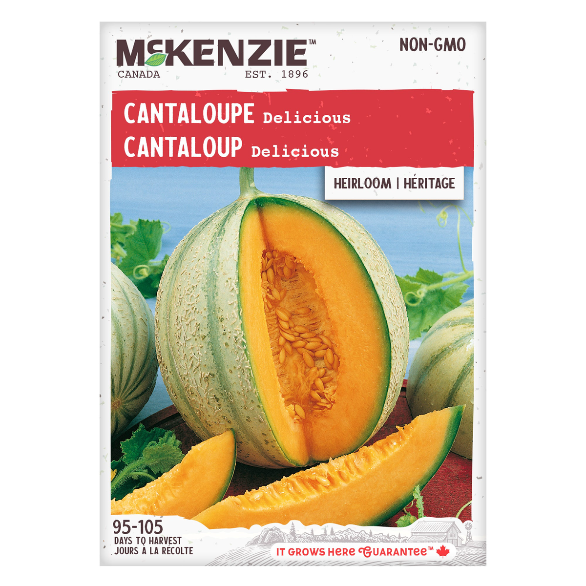 Cantaloupe Delicious 8211 McKenzie Seeds