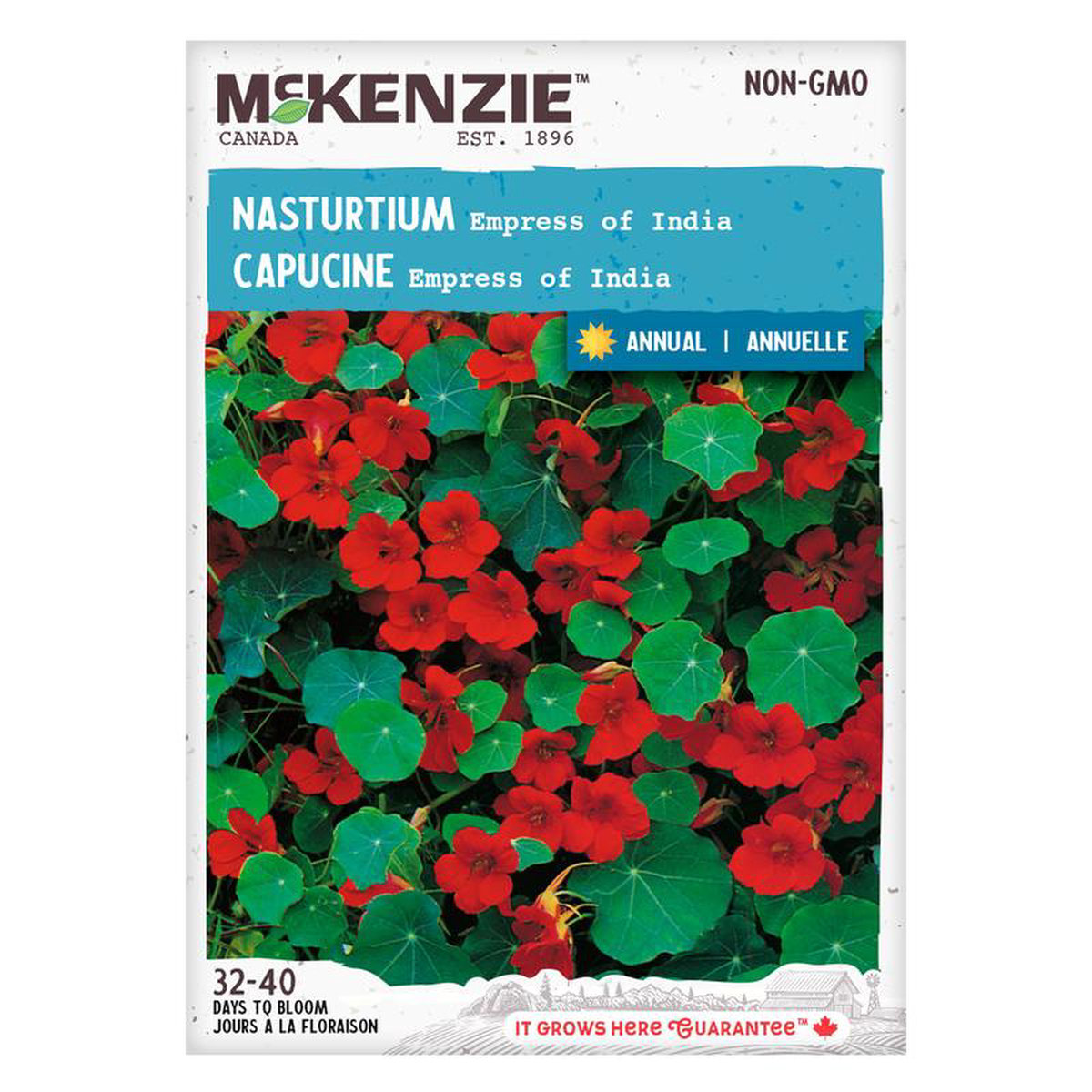 Nasturtium Empress of India 8211 McKenzie Seeds
