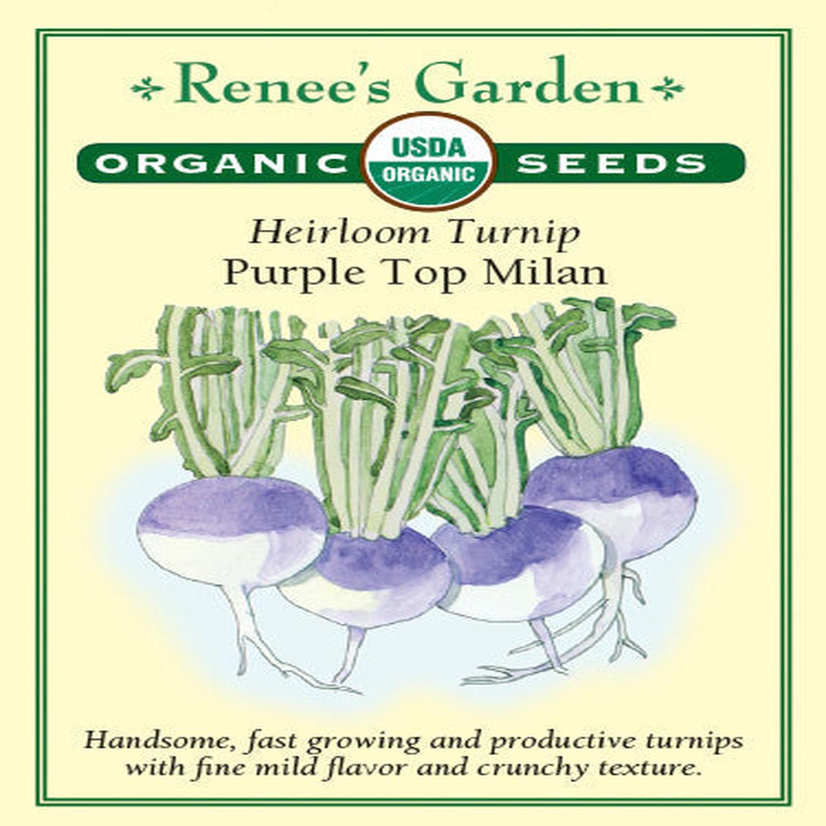 Organic Turnip Purple Top Milan - Renee's Garden