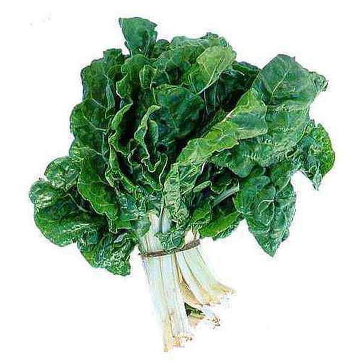 Spinach Kantewali - Desi Vegetable Seeds - Default Title