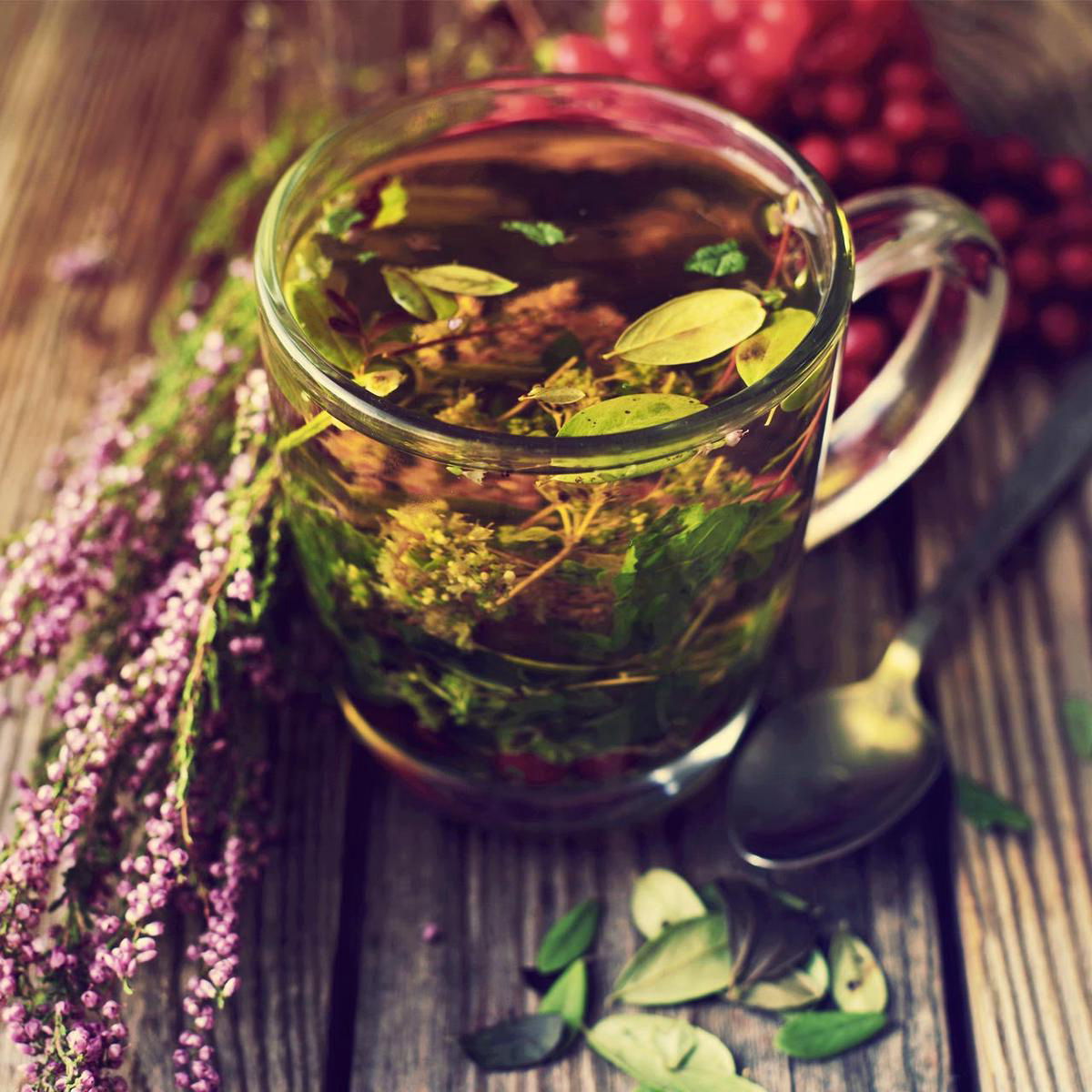 Annie8217s Herbal Tea Garden Kit