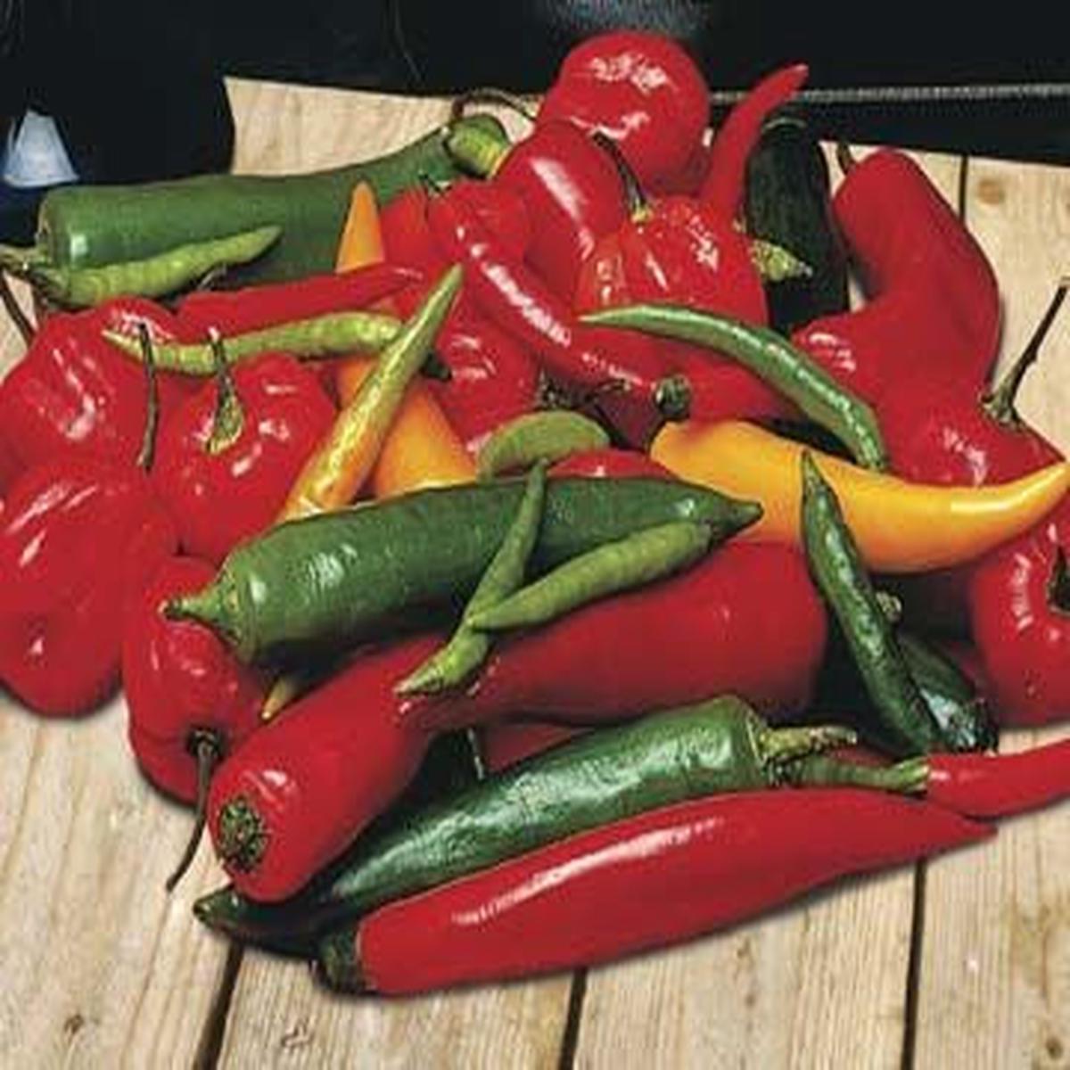Chilli Pepper Chilli Shake seeds
