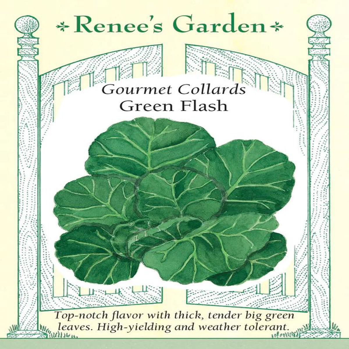 Collards Green Flash 8211 Renee8217s Garden