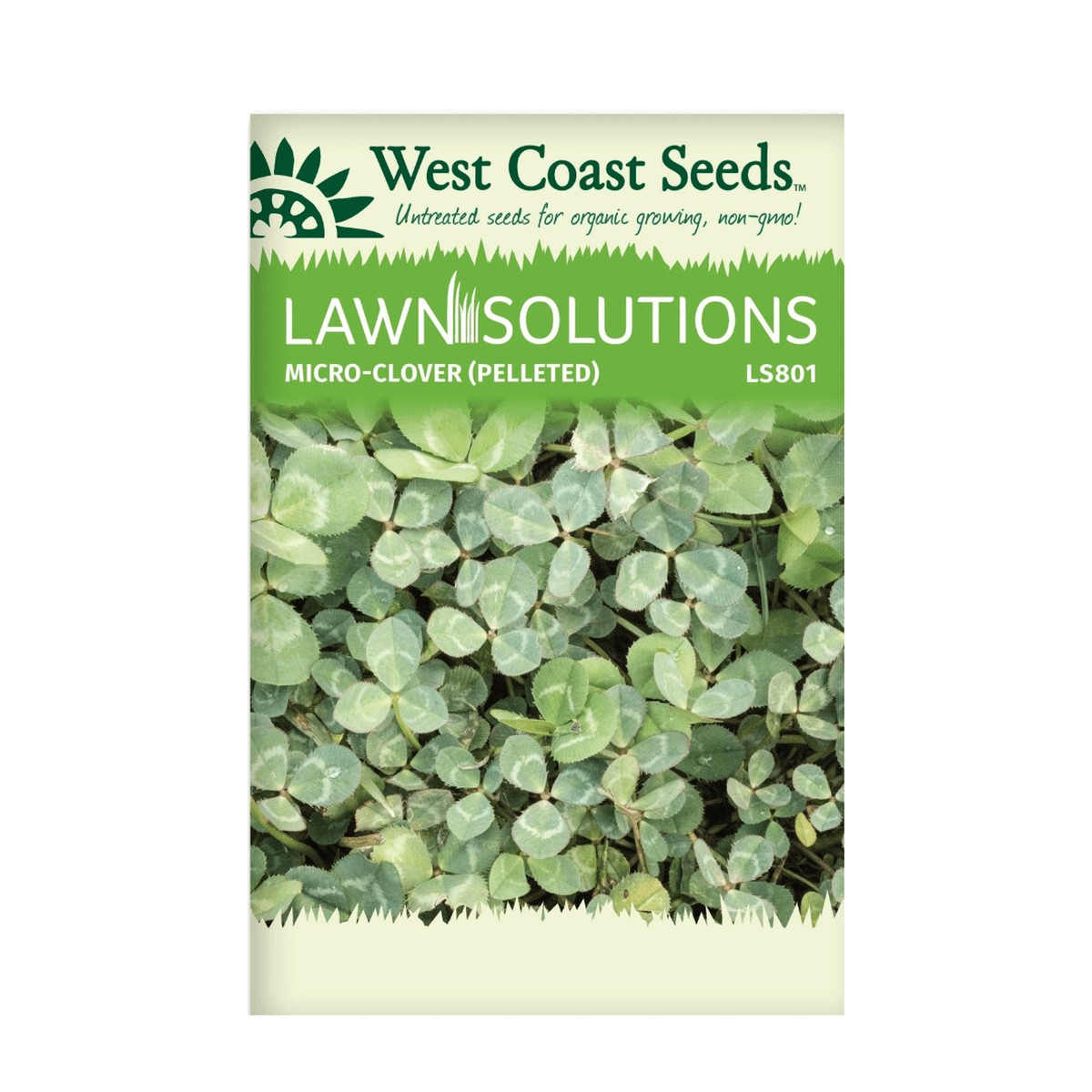Micro Clover Seed Pelleted | West Coast Seeds