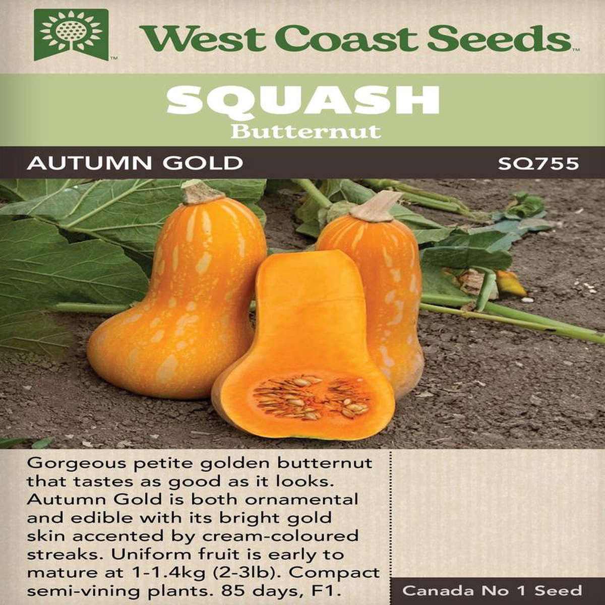 Squash Autumn Gold 8211 West Coast Seeds