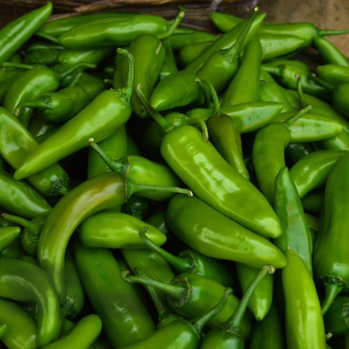 NuMex Pepper Seed Collection