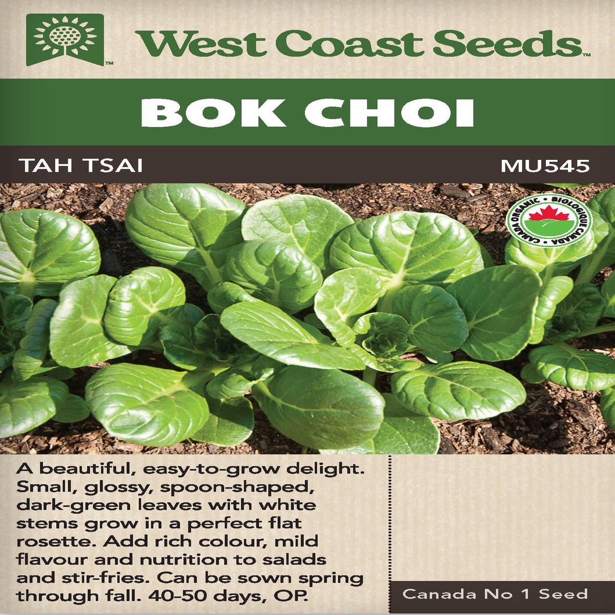 Organic Mustard Tah Tsai - West Coast Seeds