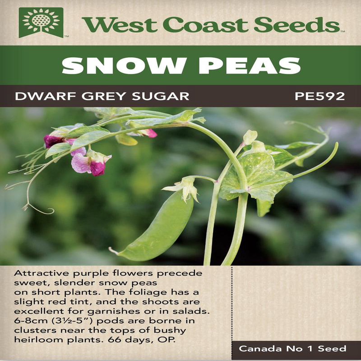 Pea Dwarf Grey Sugar 8211 West Coast Seeds