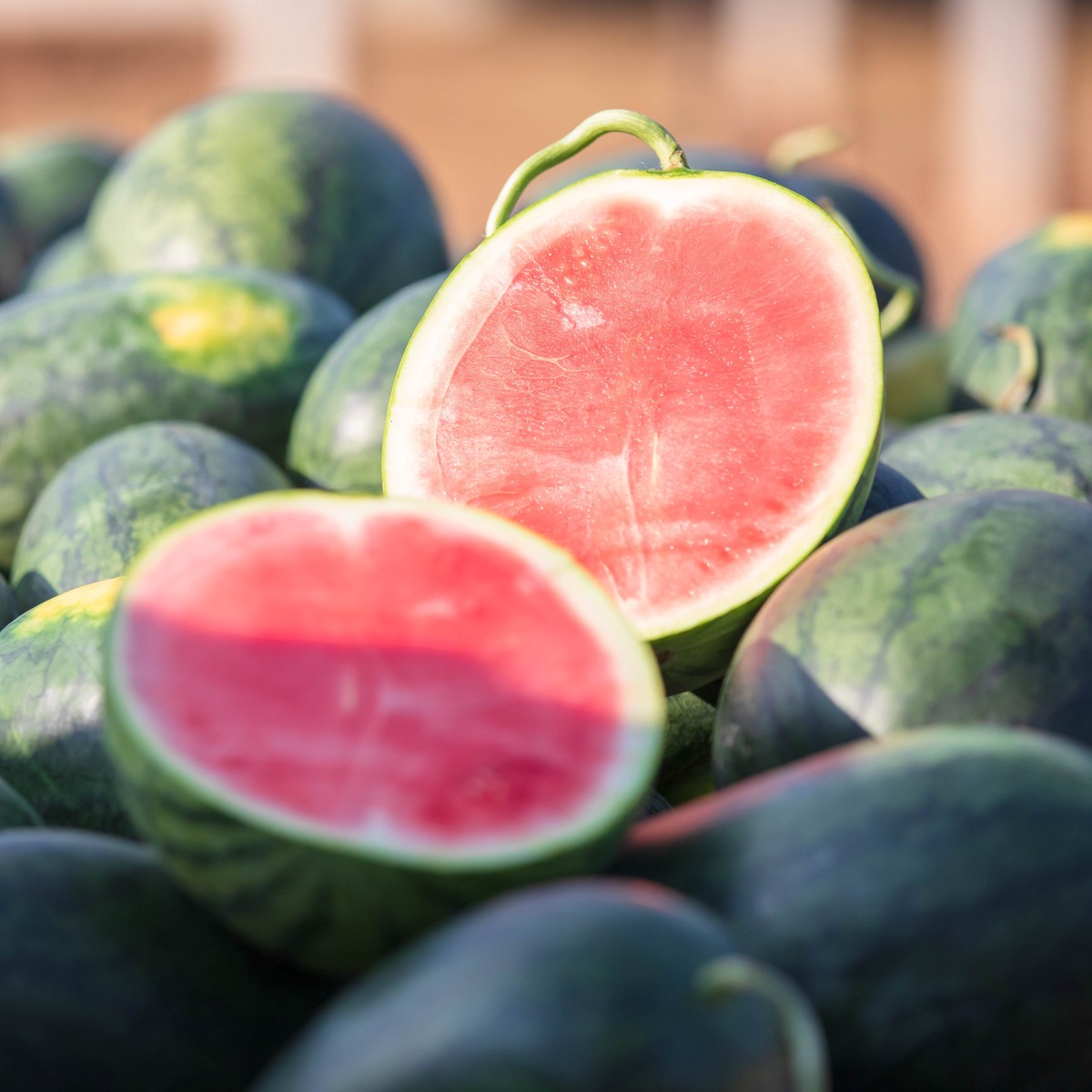 Tyrion F1 Watermelon (seedless)