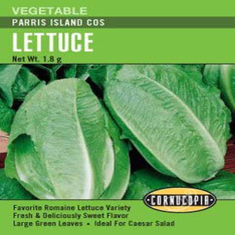 Lettuce Parris Island Cos - Cornucopia Seeds