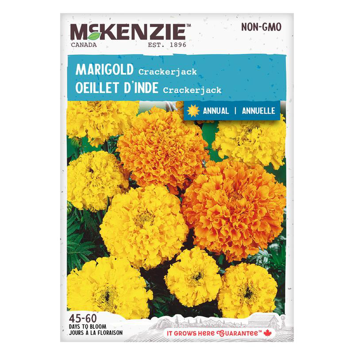 Marigold Crackerjack 8211 McKenzie Seeds